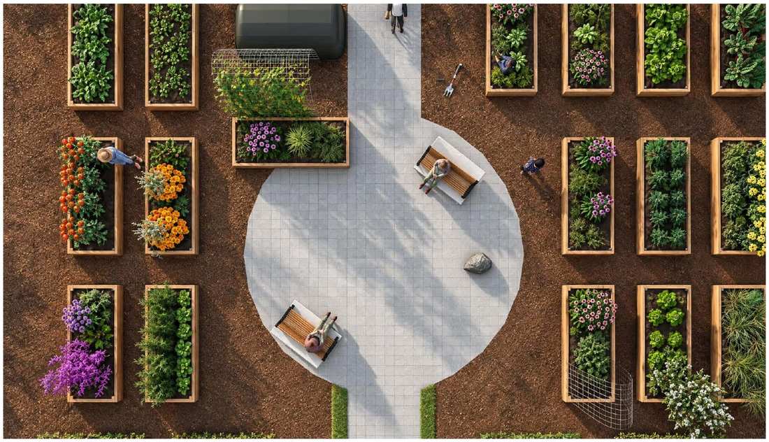 Walking path between planted verges