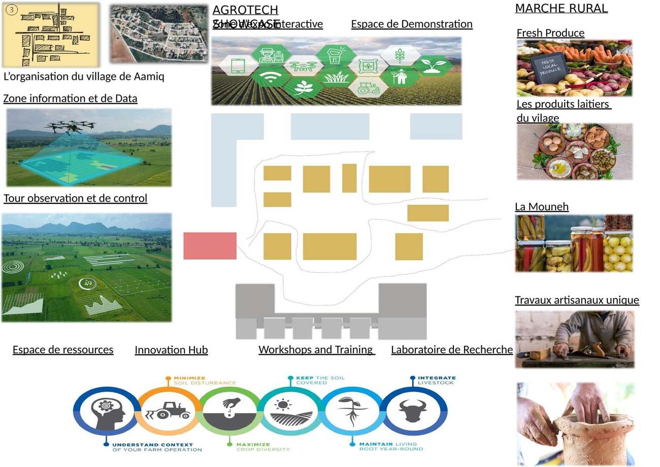 Site and systems diagram: rain water, solar, light and humidity, fish system